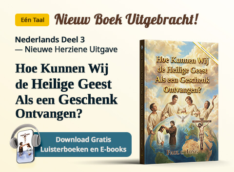 Boek 3 in het Italiaans van Ds. Paul C. Jong, KEER TERUG NAAR HET EVANGELIE VAN HET WATER EN DE GEEST [Nieuwe Herziene Uitgave]