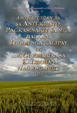 Mga Saysay ug mga Pagpanudlo sa Libro sa Pinadayag - Ang Katuigan ba sa Anti-kristo, Pagkasinakit sa mga Balaan, Tugob nga Kalipay ug ang Gingharian sa Kalibohan Nagsingabot? (Ⅱ)