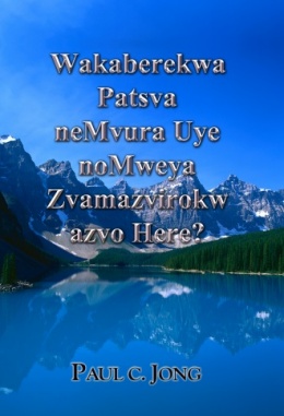 Wakaberekwa Patsva neMvura Uye noMweya Zvamazvirokw azvo Here?
