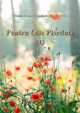 Predici despre Evanghelia lui Ioan (VI) - Pentru Oile Pierdute (I)