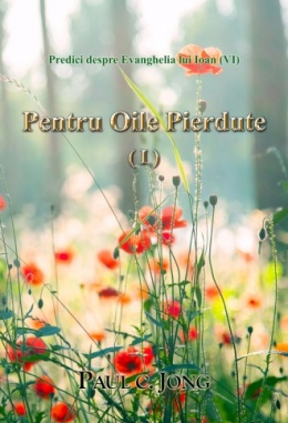 Predici despre Evanghelia lui Ioan (VI) - Pentru Oile Pierdute (I)