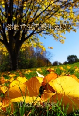 你們重生需要什麼呢? 你們重生需要什麼呢?