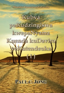 Mharidzo Pamusoro paVaGaratia - Kubva paKudzingiswa kwepaNyama Kuenda kuDaviro yeKutendeuka ( I )