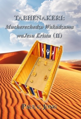 TABHENAKERI: Mucherechedzo Wakadzama waJesu Kristu (II)