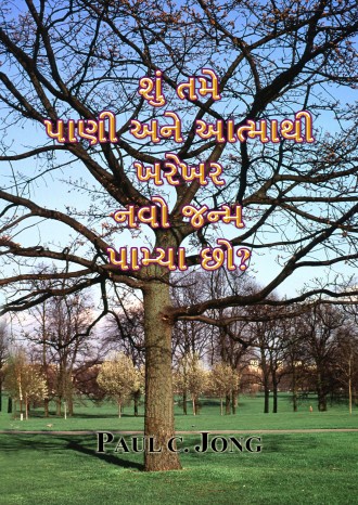 શું તમે પાણી અને આત્માથી ખરેખર નવો જન્મ પામ્યા છો?
