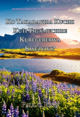 MHARIDZO PAMUSORO PEEVHANGERI YAMATEO (II) - KO TAKADAVIRA KUCHII KUTI TIGAMUCHIRE KUREGERERWA KWEZVIVI?
