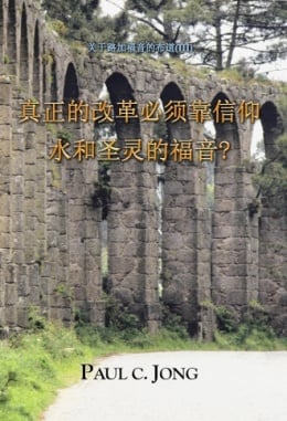 关于路加福音的布道 (Ⅲ) - 真正的改革必须靠信仰水和圣灵的福音? 关于路加福音的布道 (Ⅲ) - 真正的改革必须靠信仰水和圣灵的福音?