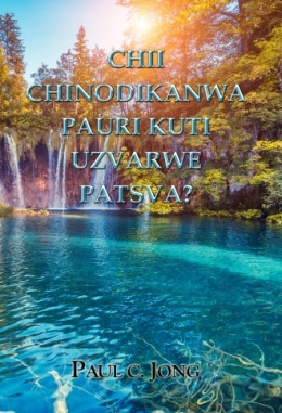 CHII CHINODIKANWA PAURI KUTI UZVARWE PATSVA?