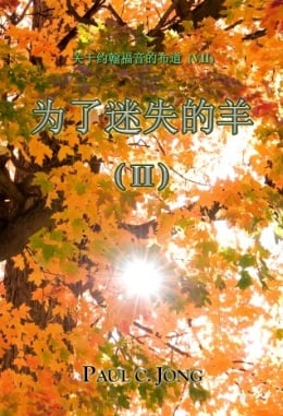 关于約翰福音的佈道 (Ⅶ) - 为了迷失的羊 (Ⅱ) 关于約翰福音的佈道 (Ⅶ) - 为了迷失的羊 (Ⅱ)