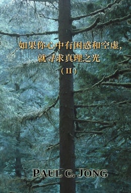 如果你心中有困惑和空虚,就寻求真理之光 (II) 如果你心中有困惑和空虚,就寻求真理之光 (II)