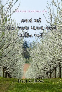 પવિત્ર આત્મા જે મારી અંદર રહે છે - તમારાં માટે પવિત્ર આત્મા પામવા માટેનો સુરક્ષિત રસ્તો