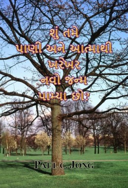 શું તમે પાણી અને આત્માથી ખરેખર નવો જન્મ પામ્યા છો?