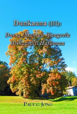 Dunkaana (Ⅲ): Dursa Ibsamuu Wangeela Bishaaniifi Hafuuraa