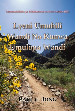Amasambilisho pa Mbilansuma ya kwa Yohane (III) - Lyeni Umubili Wandi No Kunwa Umulopa Wandi