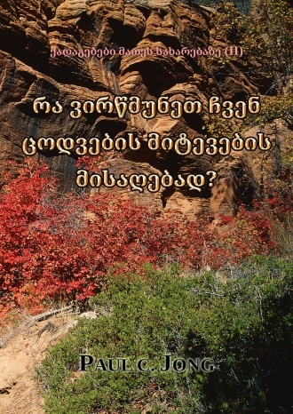 ქადაგებები მათეს სახარებაზე (II) - რა ვირწმუნეთ ჩვენ ცოდვების მიტევების მისაღებად?