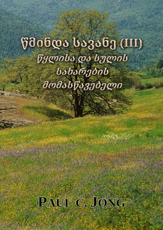 წმინდა სავანე (III): წყლისა და სულის სახარების მომასწავებელი