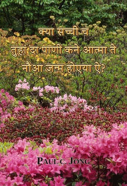 क्या सच्ची च तुहां दा पाणी कने आत्मा ते नौआ जन्म होएया ऐ?