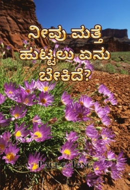 ನೀವು ಮತ್ತೆ ಹುಟ್ಟಲು ಏನು ಬೇಕಿದೆ?