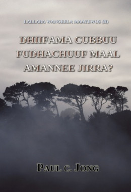 LALLABA WANGEELA MAATEWOS (II) - DHIIFAMA CUBBUU FUDHACHUUF MAAL AMANNEE JIRRA?