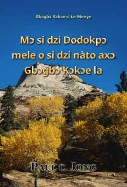 Mɔ si dzi Dodokpɔ mele o si dzi nàto axɔ Gbɔgbɔ Kɔkɔe la