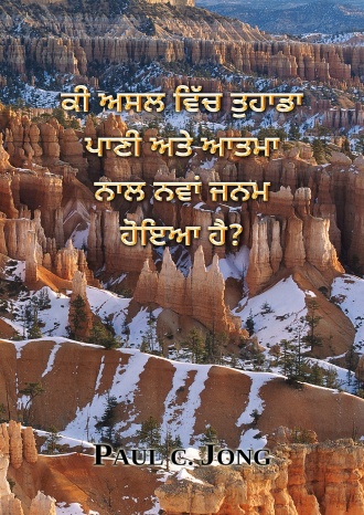 ਕੀ ਅਸਲ ਵਿੱਚ ਤੁਹਾਡਾ ਪਾਣੀ ਅਤੇ ਆਤਮਾ ਨਾਲ ਨਵਾਂ ਜਨਮ ਹੋਇਆ ਹੈ?