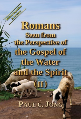 Romans seen from the perspective of the gospel of the water and the Spirit (II)