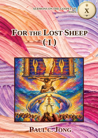 Sermons on the Gospel of John (VI) - FOR THE LOST SHEEP (I)